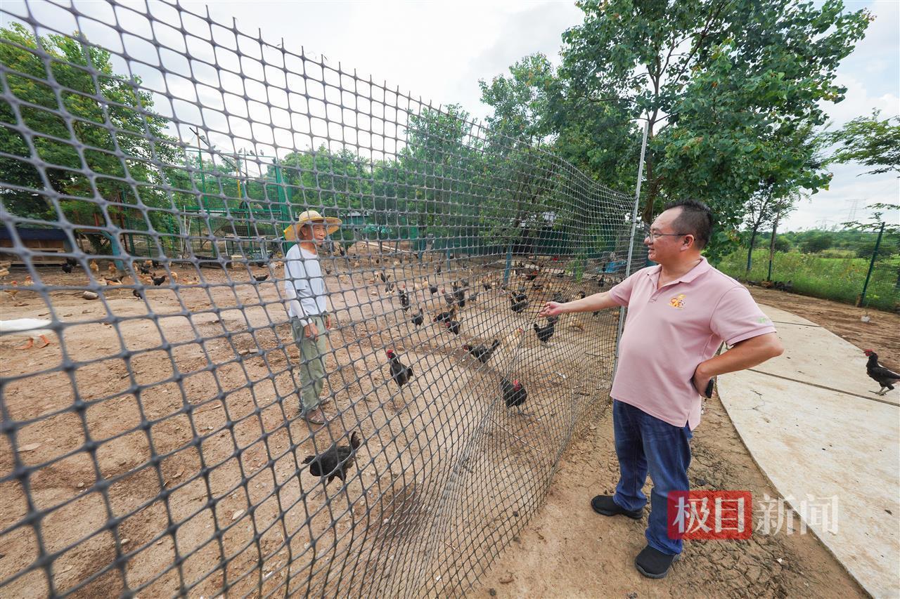 寻找返乡创业星|授人以渔启明星:反哺家乡是每个归来游子最大的心愿