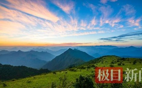 北纬 31° 秘境曝光！湖北堵河源的巡护员，每天都在和黑熊 "对话"