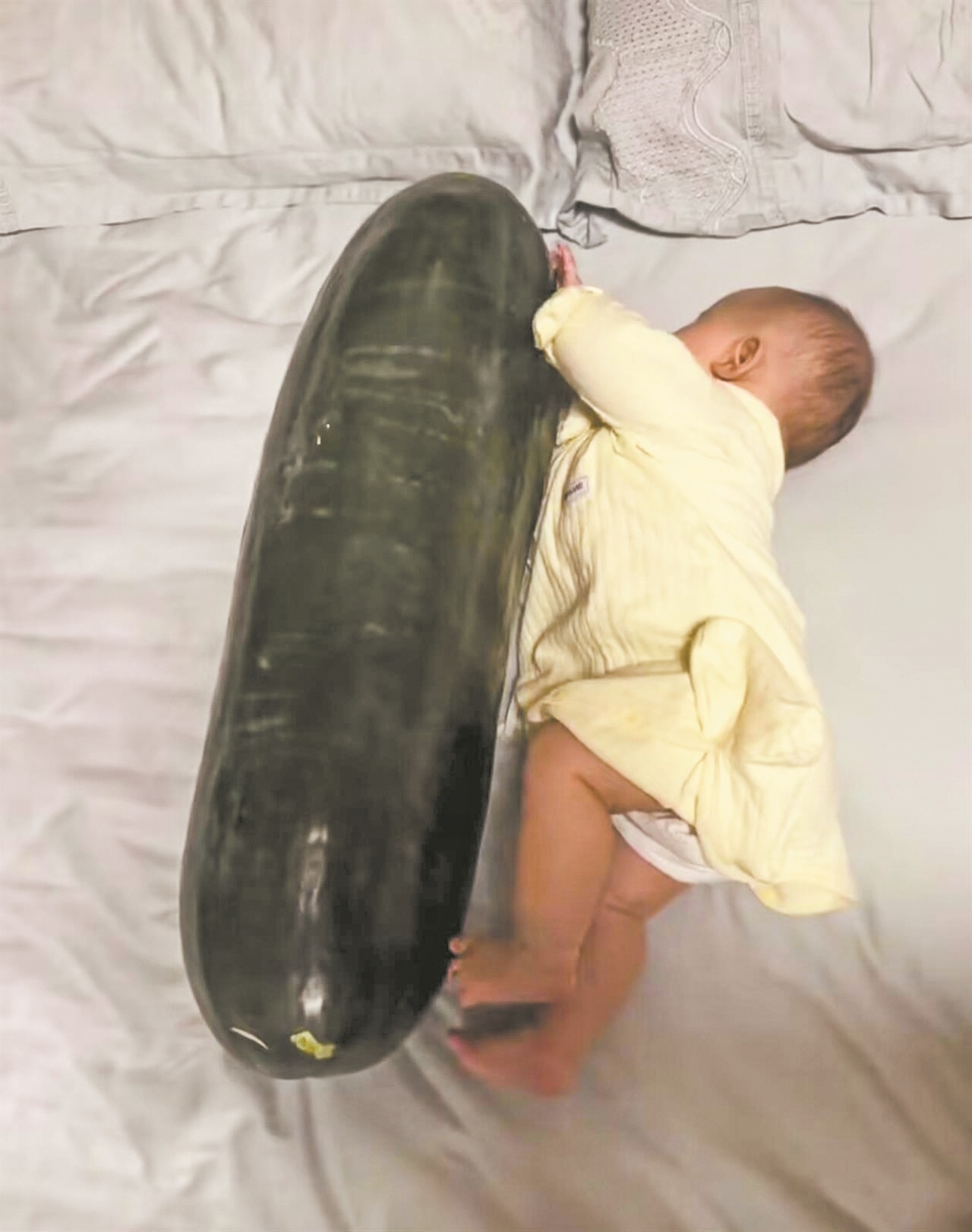 男子背28斤冬瓜到香港给女儿当避暑玩具