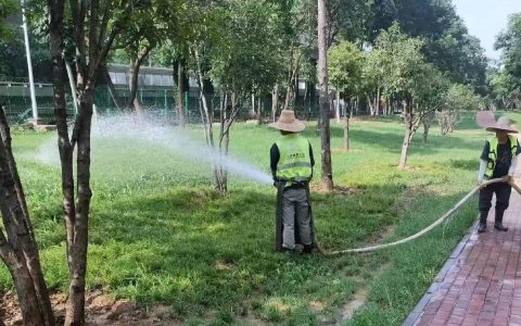 气温高炎值，亦保植物高颜值！武汉园林师傅为植物补水只争朝夕！