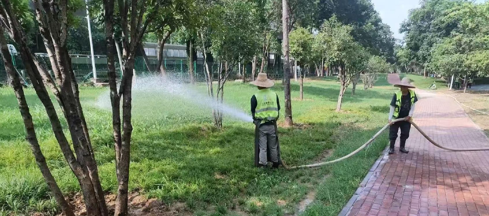 气温高炎值，亦保植物高颜值！武汉园林师傅为植物补水只争朝夕！