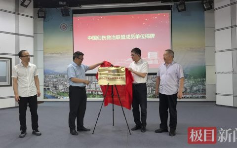 微短剧拍武当，游戏里游神武峡！这场国际文旅盛宴，让世界看见湖北的仙山碧水