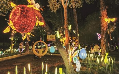 走进童话森林  打卡昆虫秘境