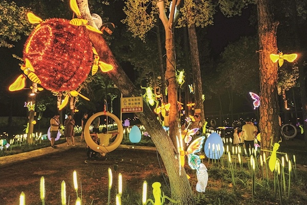 走进童话森林  打卡昆虫秘境