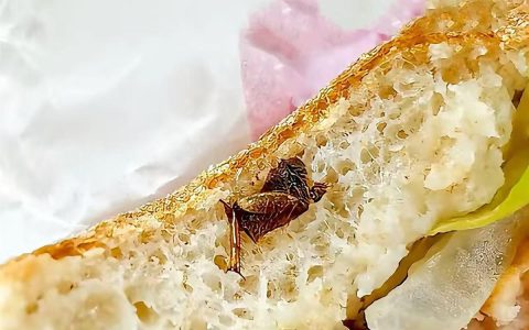 广州市民称在快餐中吃出半只蟑螂，“在喉咙里抠出另半只”，店方：已成立专项小组处理