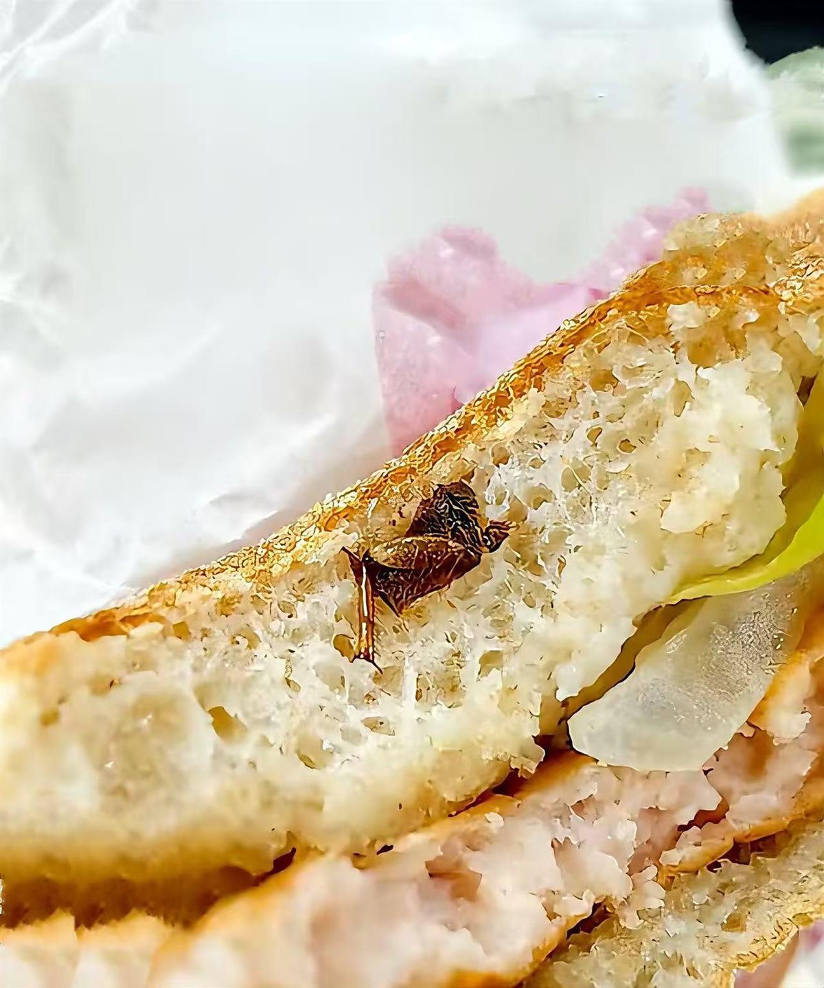 广州市民称在快餐中吃出半只蟑螂，“在喉咙里抠出另半只”，店方：已成立专项小组处理