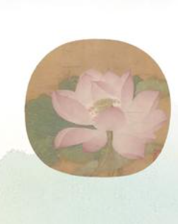 避暑博物馆——荷风莲韵 清凉“一夏”