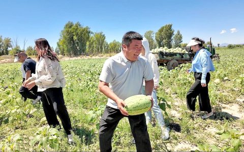 内蒙古“焖面哥”再购7.4万斤滞销西瓜 目前已全部卖完，收益将捐出用于助农