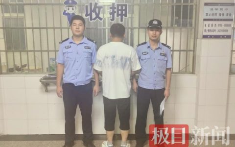 “指尖赌场”？通城公安侦破一起网络赌博案