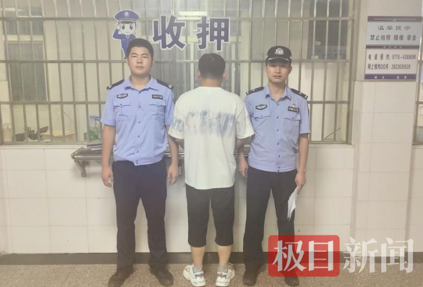 “指尖赌场”？通城公安侦破一起网络赌博案