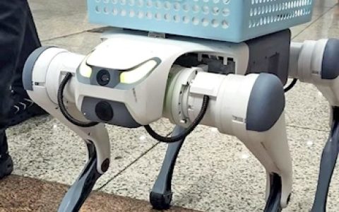 机器狗成现场顶流