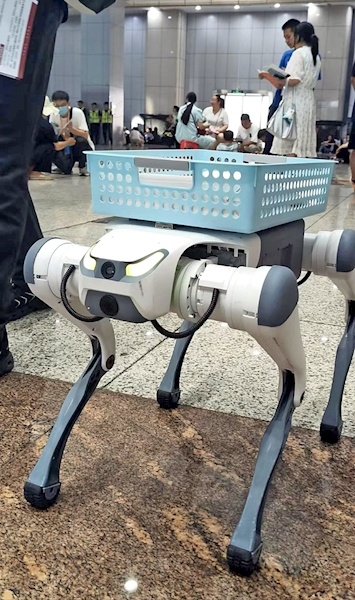 机器狗成现场顶流