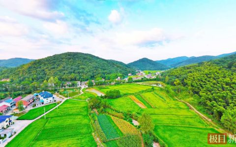 赤壁加强农村集体“三资”监管，2025年追责问责16人