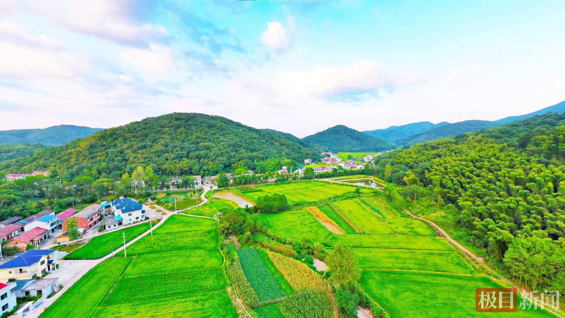 赤壁加强农村集体“三资”监管，2025年追责问责16人