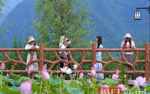湖北巴东一村庄让“烂泥塘”变网红打卡点