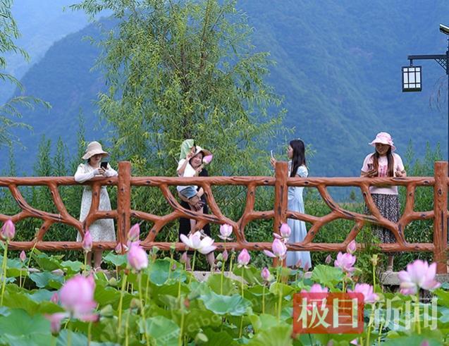 湖北巴东一村庄让“烂泥塘”变网红打卡点