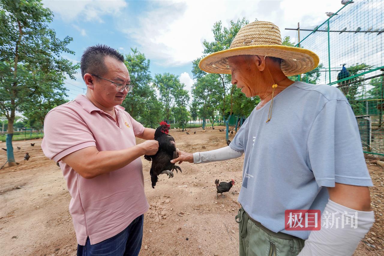寻找返乡创业星|授人以渔启明星:反哺家乡是每个归来游子最大的心愿