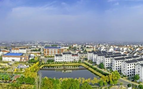 长江新区仓埠街道获评武汉首批和美乡村重点街道