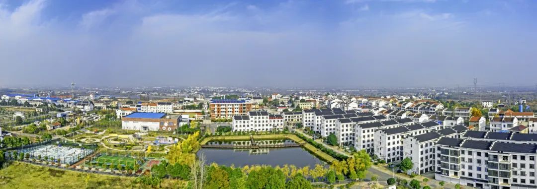 长江新区仓埠街道获评武汉首批和美乡村重点街道