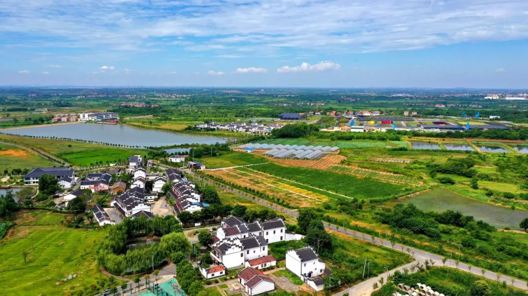 长江新区仓埠街道获评武汉首批和美乡村重点街道