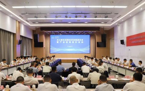 长江新区举办民营经济发展座谈会暨产业招商签约活动