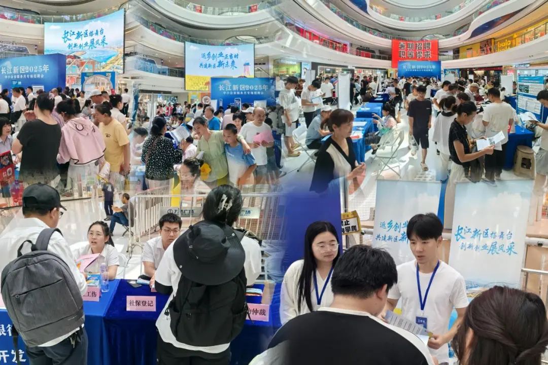 服务民生 | 新区社会事业局举办2025年中小企业服务月专场招聘会