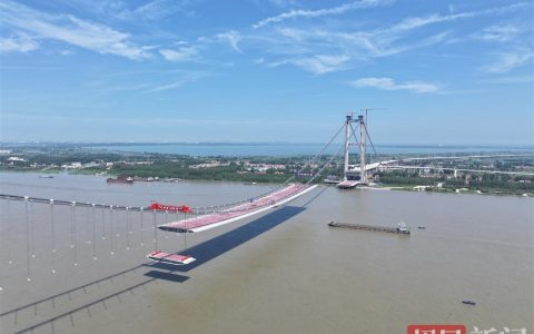 为防止鸟儿误撞，武汉双柳长江大桥将建400米长“防护罩”