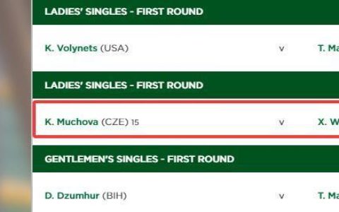 7月1日温网赛程来了，王欣瑜、朱琳和小布都将亮相