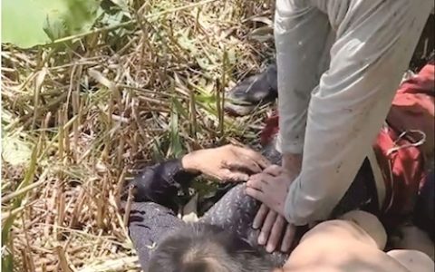 护湖队员跳湖救起溺水市民 “救人，就是伸把手的事儿”