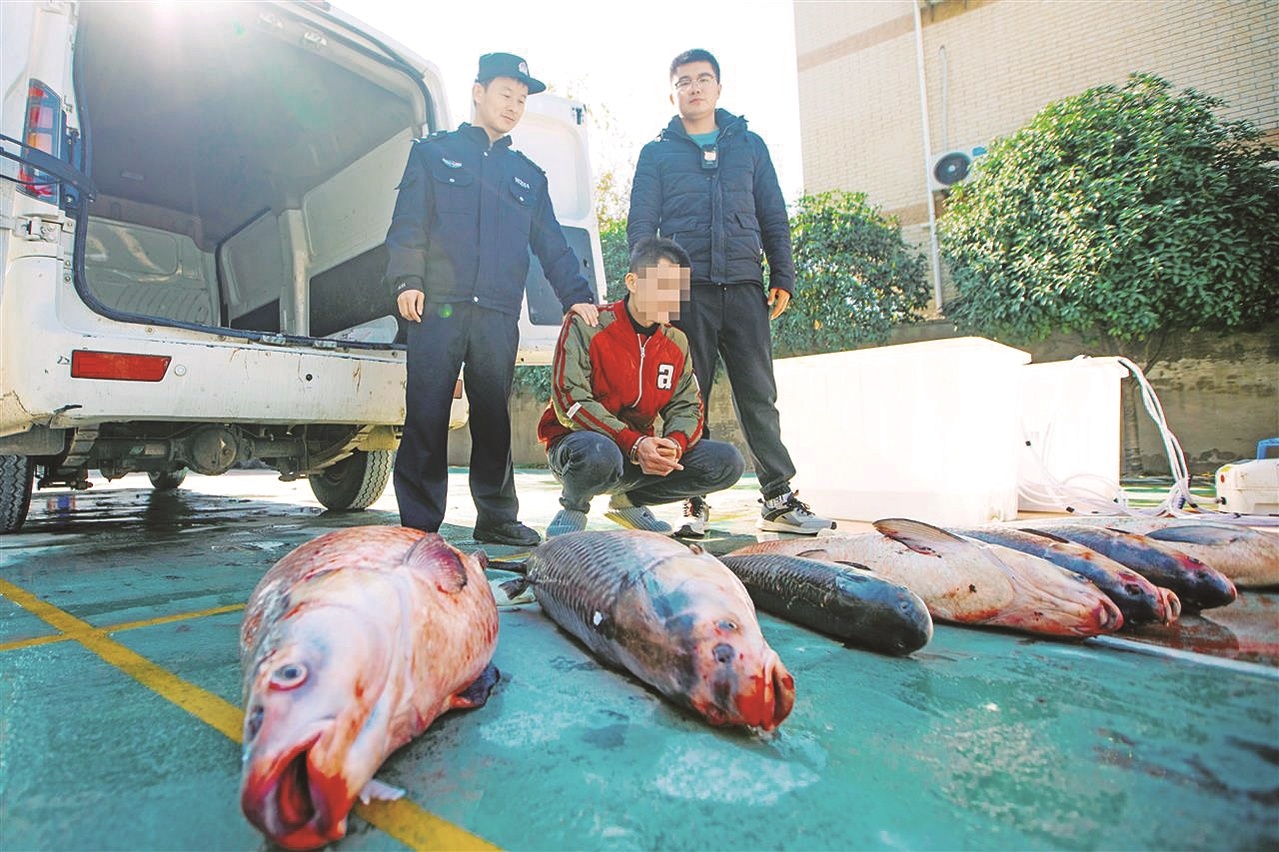 10多次潜入长江电鱼一晚能得渔获1000斤  警方打掉跨鄂赣两省的非法捕捞团伙