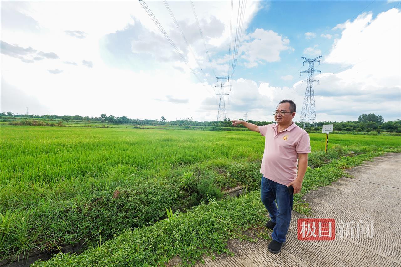 寻找返乡创业星|授人以渔启明星:反哺家乡是每个归来游子最大的心愿