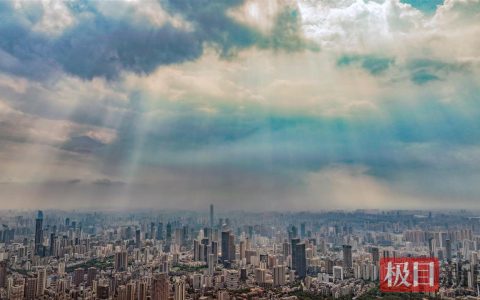 一场牛背雨后，江汉路逛街的人感觉舒适