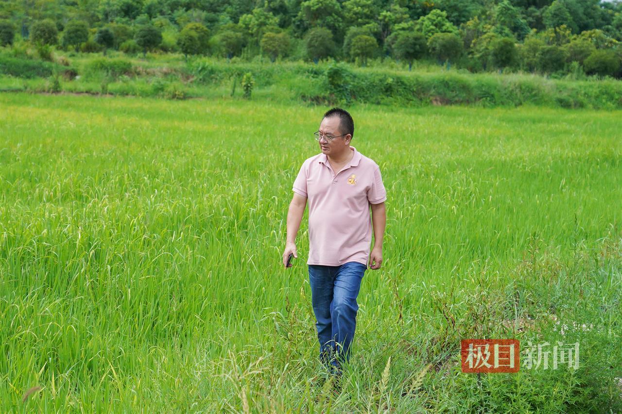 寻找返乡创业星|授人以渔启明星:反哺家乡是每个归来游子最大的心愿