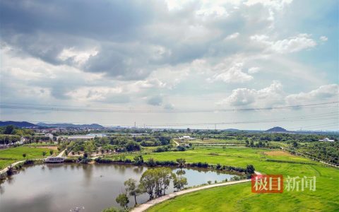 寻找返乡创业星|授人以渔启明星：反哺家乡是每个归来游子最大的心愿