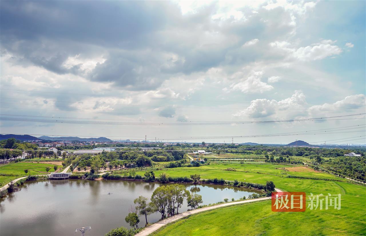 寻找返乡创业星|授人以渔启明星:反哺家乡是每个归来游子最大的心愿