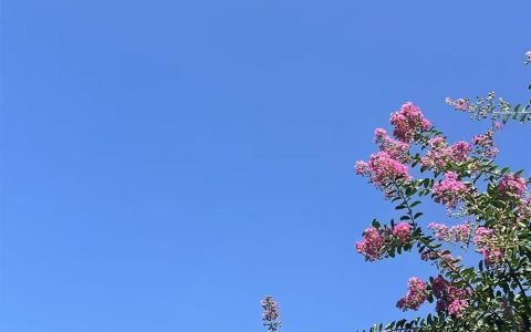 湖北近八成区域35℃+！三个台风逼近，能拍熄湖北的高温吗？