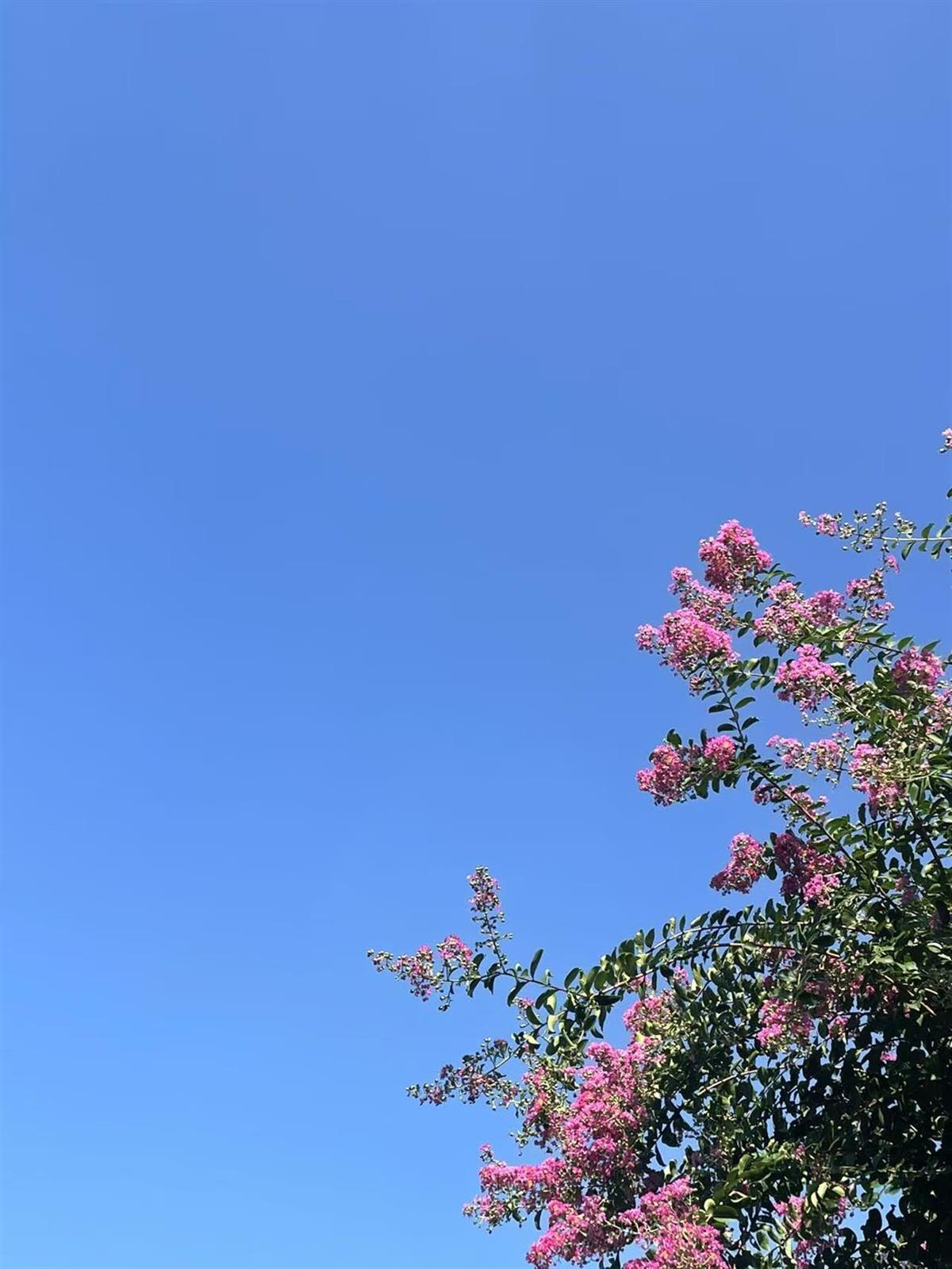 湖北近八成区域35℃+！三个台风逼近，能拍熄湖北的高温吗？