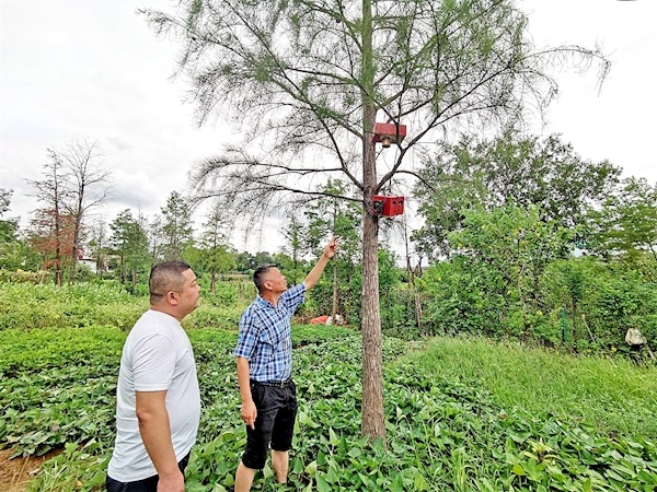 重点打造19个路段  整治20余处薄弱点点位 “四线一口”行动让黄陂更美更整洁