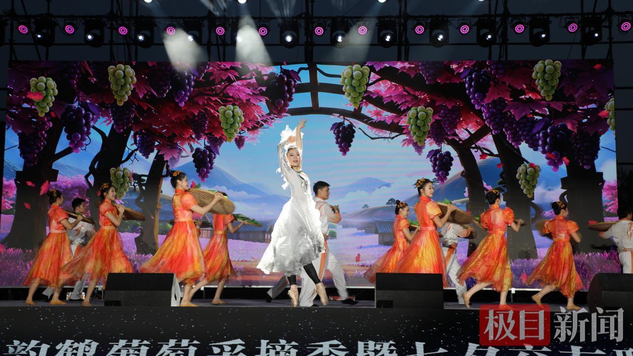 湖北孝昌葡萄缀满振兴路，农文旅融合绘新篇