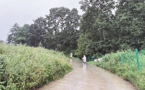 患有自闭症的8岁男童大理苍山失联超72小时 涉事夏令营机构已被调查