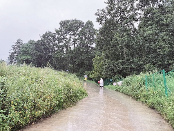 患有自闭症的8岁男童大理苍山失联超72小时 涉事夏令营机构已被调查