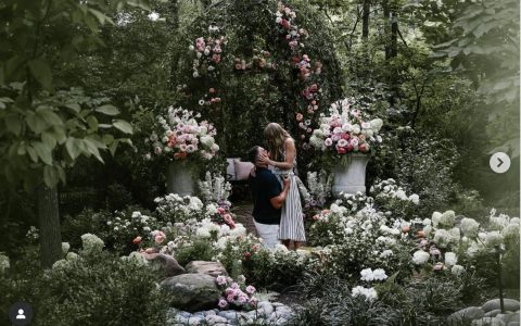 霉霉官宣订婚，钻戒约400万元，特朗普放下“仇恨”送上祝福