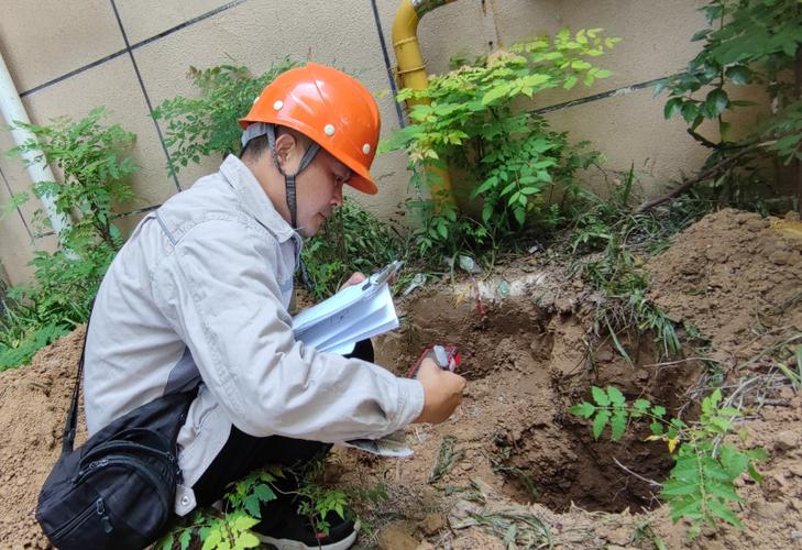 高温下的坚守：湖北特检院仙桃分院用汗水筑牢安全防线