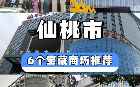 仙桃发力首店经济激发消费新活力