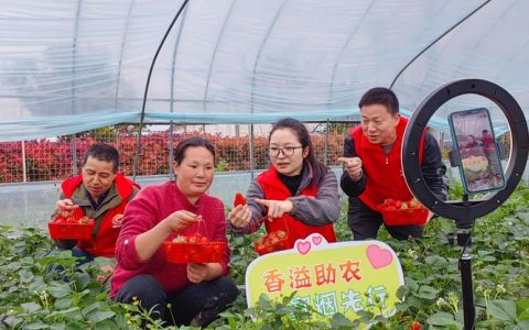 田间来直播 “乡货”变“香货”