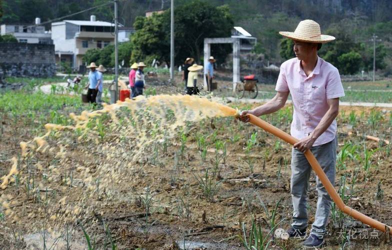 剅河镇应急打井为稻田解渴