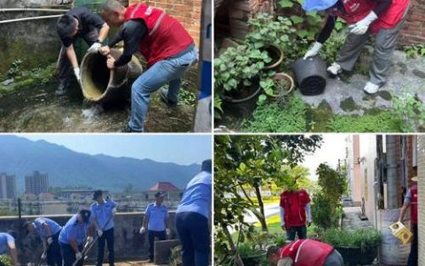 郑场镇织密蚊媒传染病防控网