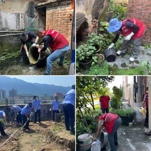 郑场镇织密蚊媒传染病防控网