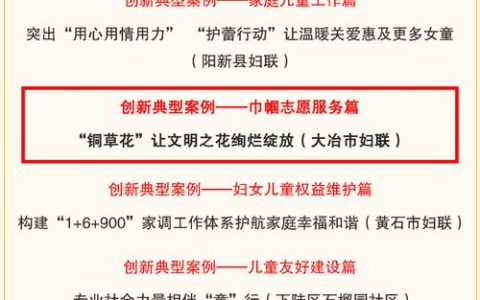 市妇联一案例入选全省十大典型案例