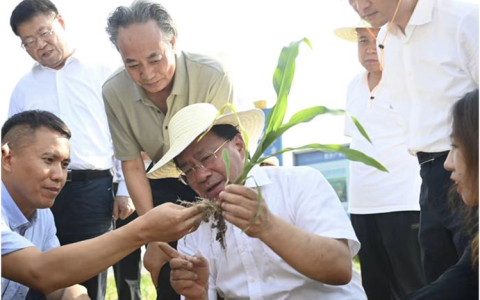 主动应“烤”护秋粮——全市抗旱一线探访